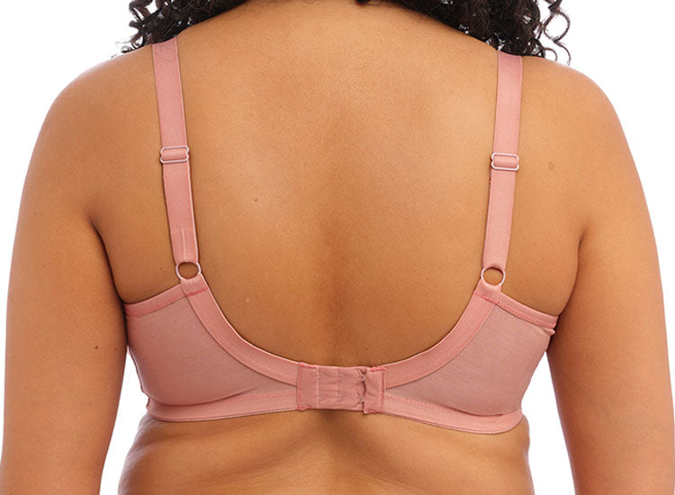 Elomi Brianna Full Brief in Very Pink (VEK) FINAL SALE (40% Off) - Busted  Bra Shop