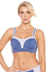 Pauline Sports Bra - Blue/Silver