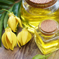 Ylang ylang oil