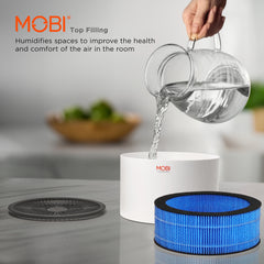 Air Purifier and Humidifier