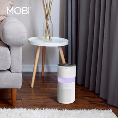 Air Purifier & Humidifier