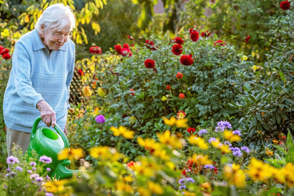 Elderly woman waters flowers in outside garden