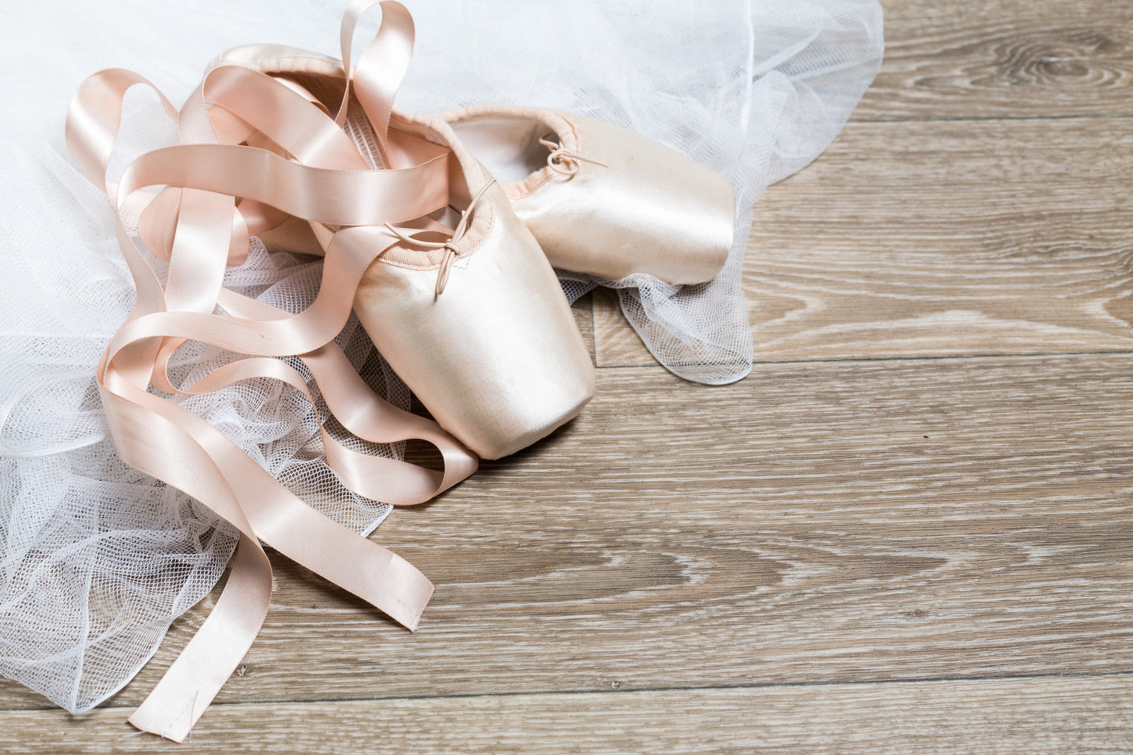 silver pointe shoes