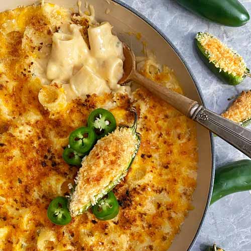 Jalapeno Popper Mac and Cheese with Sfoglini Rigatoni