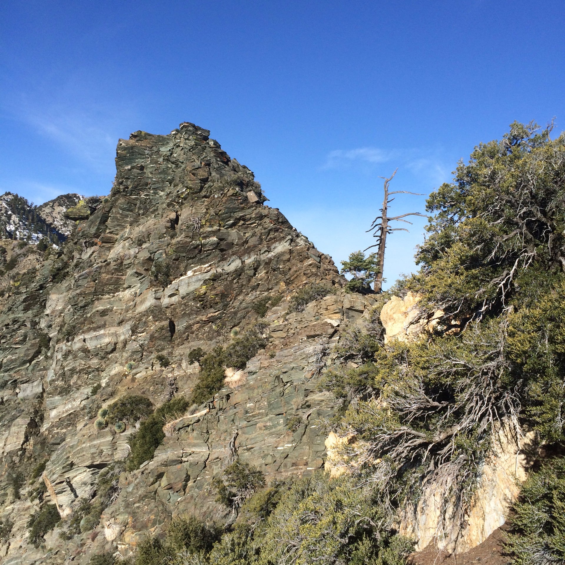 Iron Mountain via The South Ridge - Backcountry Sights