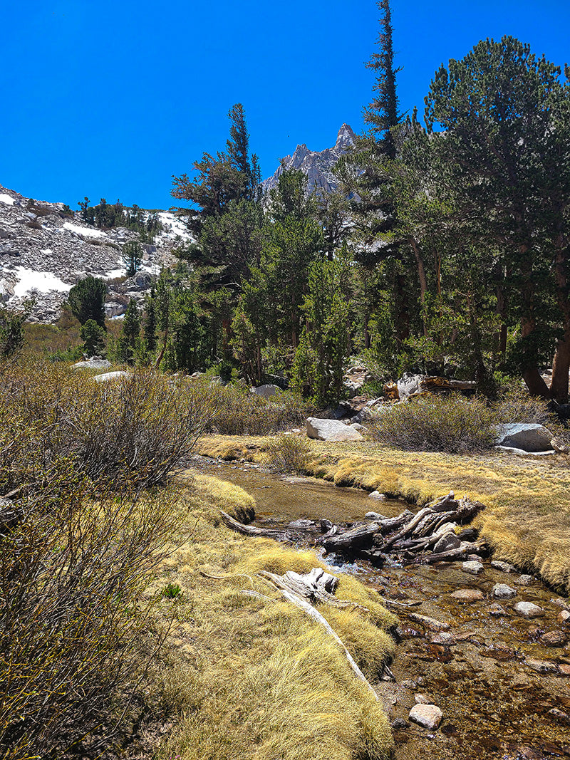 West Inlet Robinson Lake, Independence Creek, Onion Valley, Eastern Sierra Nevada, University Peak via North Face | TRVRS Outdoors