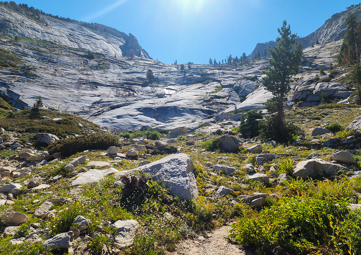 Granite Slabs, Grass, Silliman Creek, Tableland, Sequoia National Forest | TRVRS Outdoors