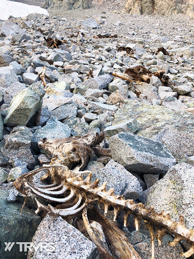 mount williamson west face shepherd pass inyo national forest john muir wilderness - Deer Remains | TRVRS APPAREL