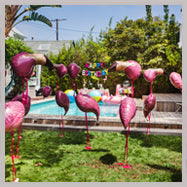 flamingo party lookbook
