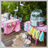 flamingo party rentals