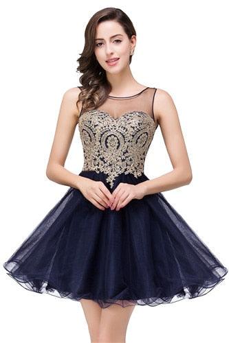 Elegant A line graduation Scoop Neck Sleeveless Homecoming Dress