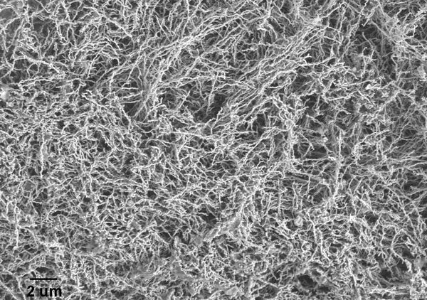 carbon nanotube dispersio nink