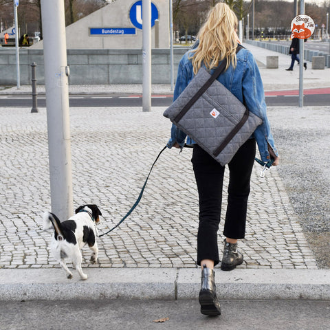 Mädchen und Hund in der Berliner Innenstadt beim Spaziergang mit Sleepy Fox® gefaltetem Reißverschluss-Reise-Hundebett in Grau.