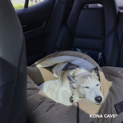 KONA CAVE® Snuggle Cave Bed for Cars is a safe and comforting way for dogs to travel. Show in grey herringbone and a Jack Russell Terrier.