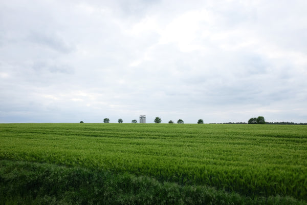 Herberge Dahrendorf