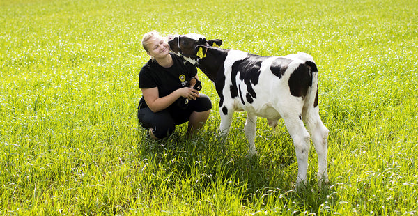 Tierische Begenungen auf norwegischen Almen