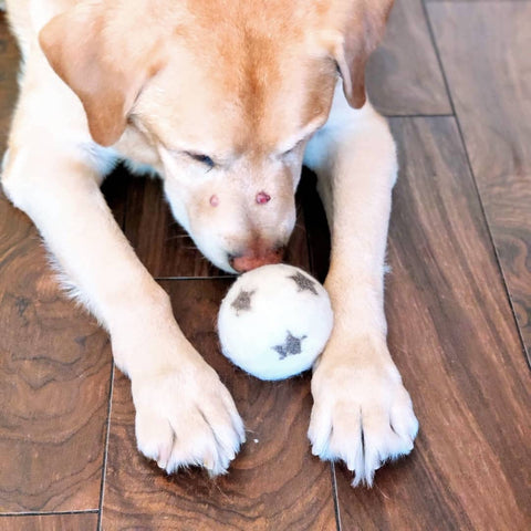 A yellow lab is lying on a tile floor and playing with an old dryer ball