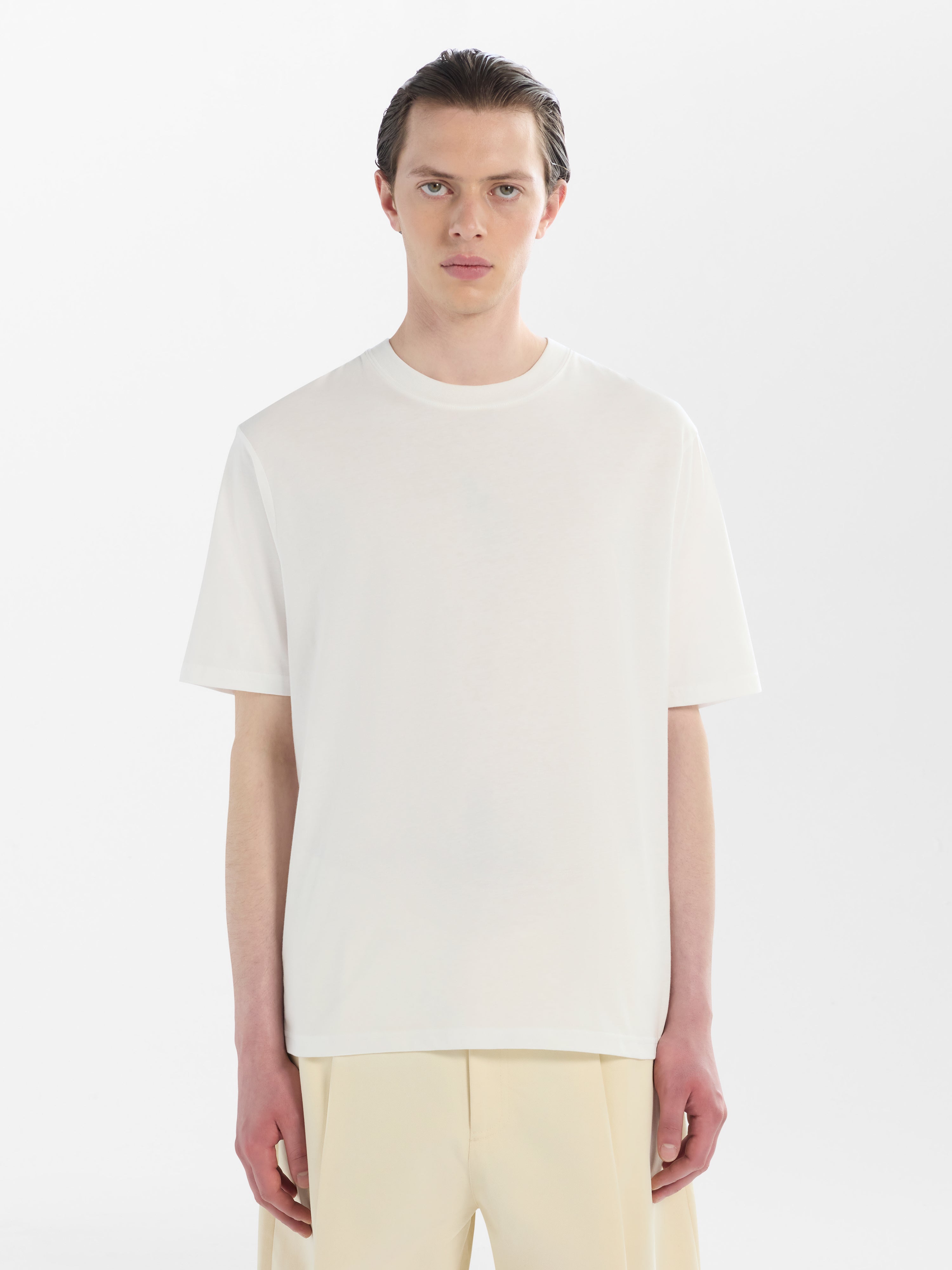 Bric T-Shirt in Optic White– Studio Nicholson