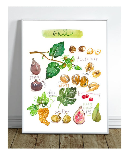 Seasonal fruit print set - In French