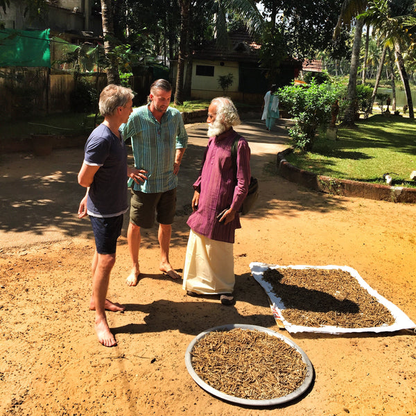 Founder Joel Einhorn Dr. Venugopal look at HANAH Ashwagandha drying in Kerala India