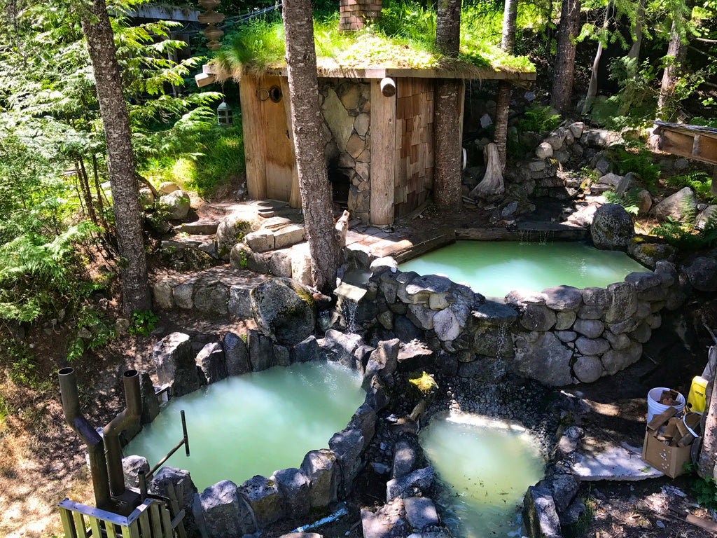 Mark Abma's cold plunge pool is essential to his day to day 