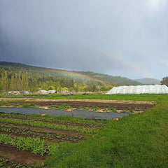 Double rainbow over Heavenly Roots Farm