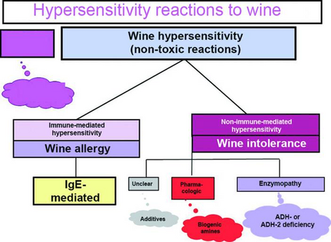 Red Wine Allergy vs. Red Wine Intolerance