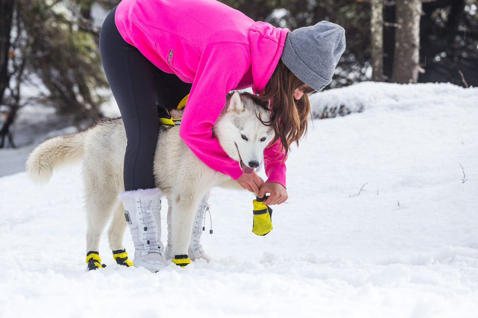 are dog boots really necessary during winter