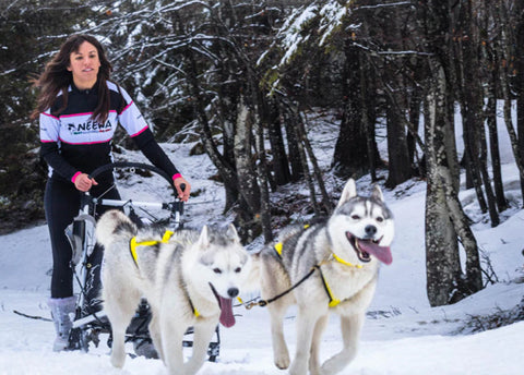 Neewa Winter sport activity with your dog