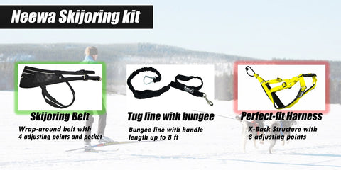 Neewa Skijoring kit - Human belt with tug line and dog harness