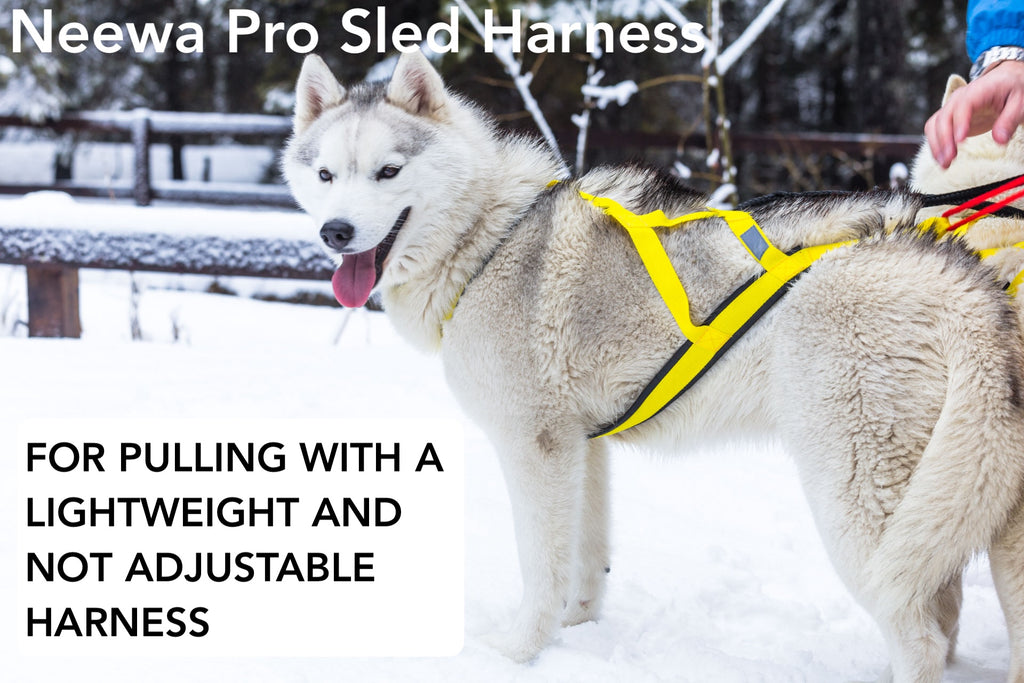 Dog harness for pulling with a not adjustable and lightweight gear