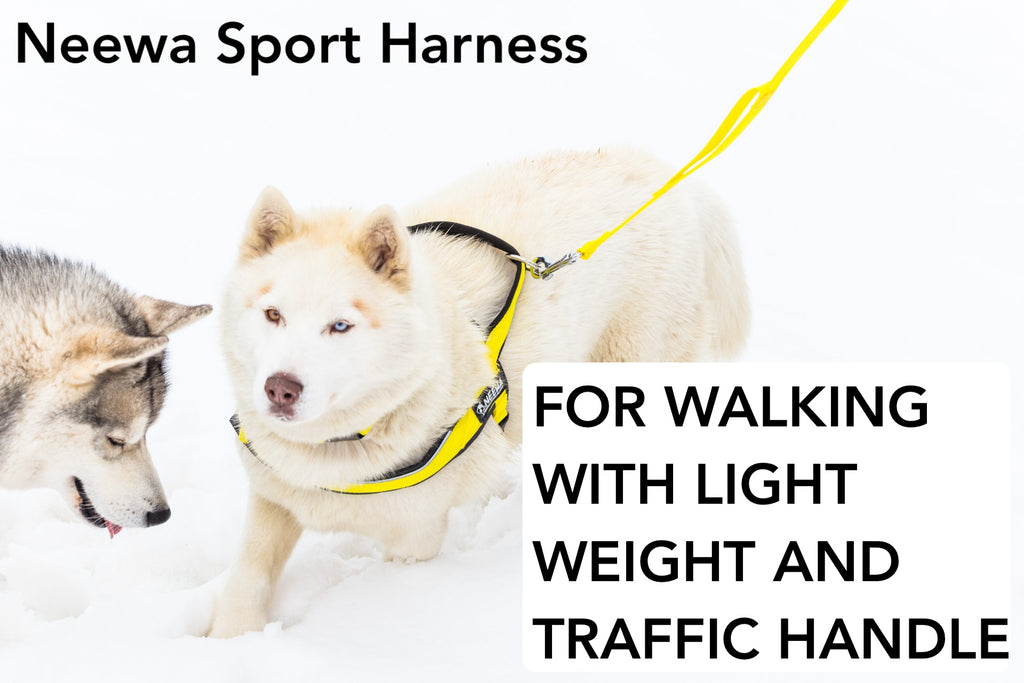 Dog harness for walking with traffic handle in the back