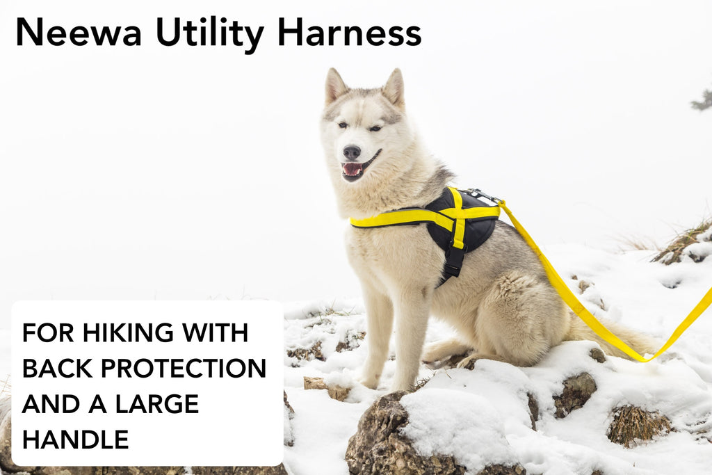 Dog harness for hiking with back protection and large back handle