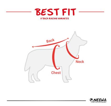 Neewa Snow Dog Coat Fitting & Size Guide