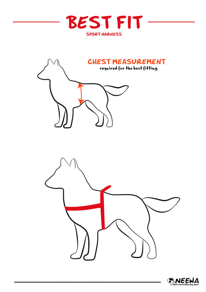 Neewa Sport Harness Size Guide