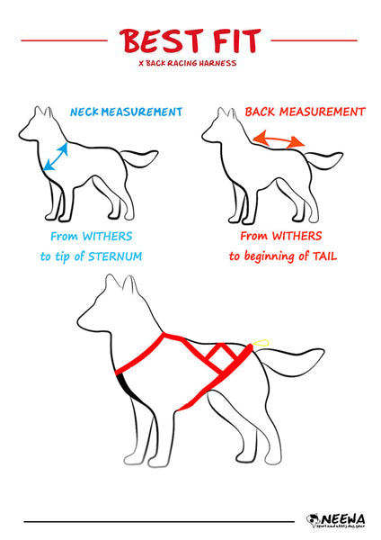 Neewa X-Back Racing Harness Size Guide