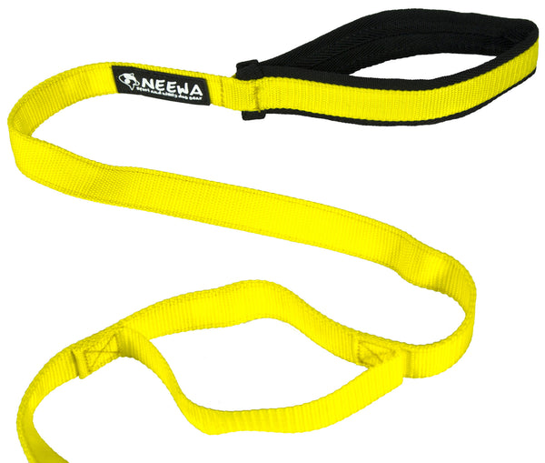 Leash with Handle