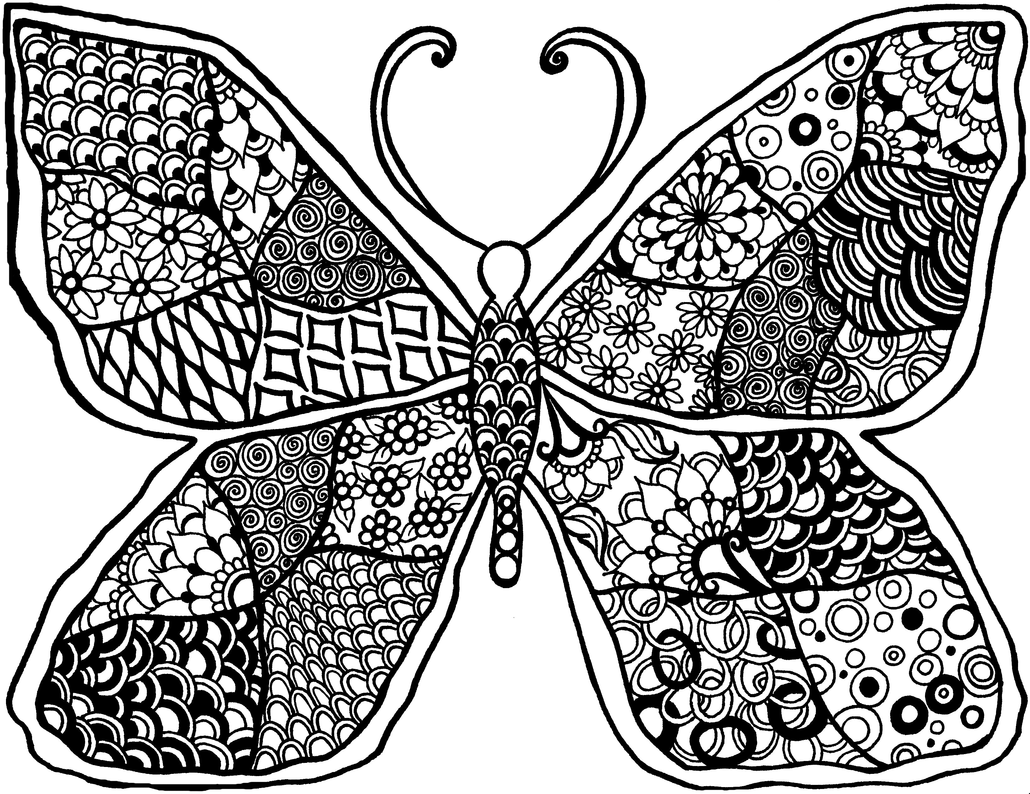 Download Mandala Butterfly - You-Color