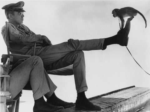 James Stewart chukka boots with monkey