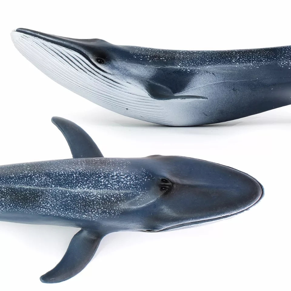 blue whale figure