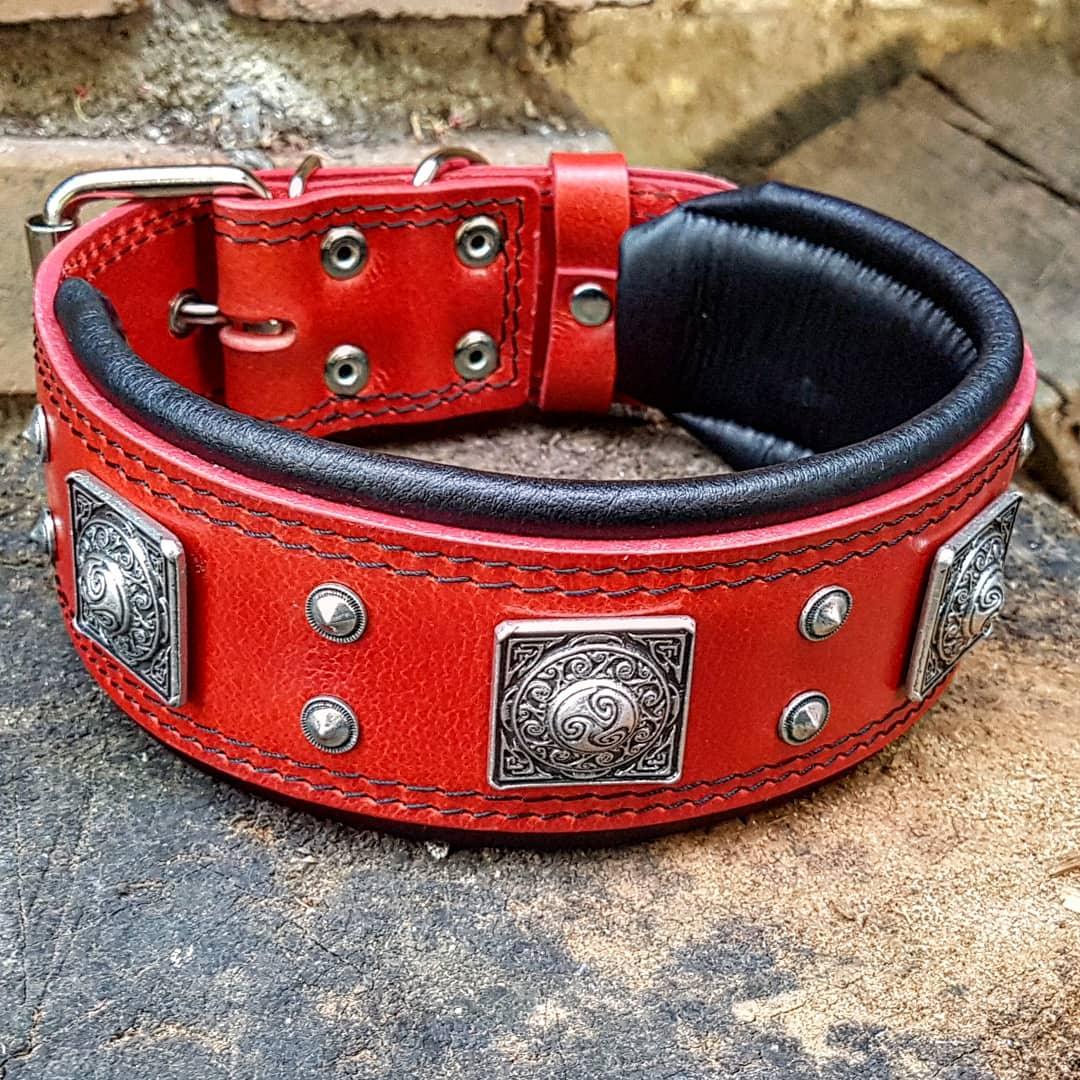 leather collar