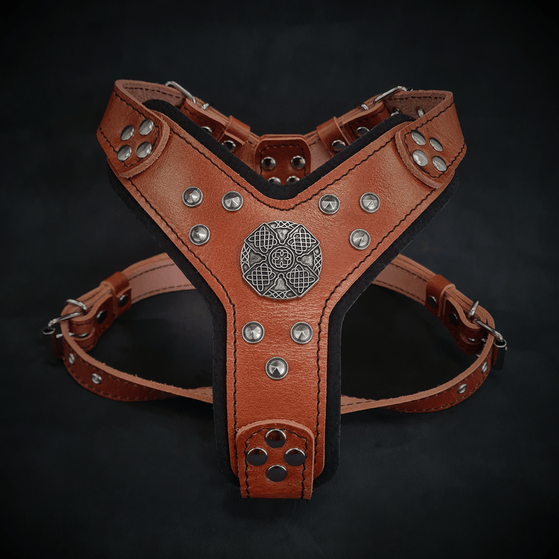 The ''Maximus'' harness brown & silver Small to Medium Size – Bestia ...