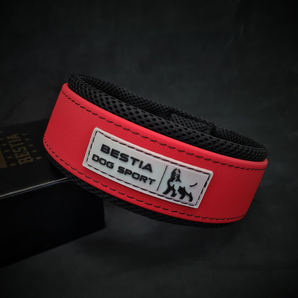 Weighted dog training collar. Large breeds. 5 lbs total. removable weights  - Bestia Collars