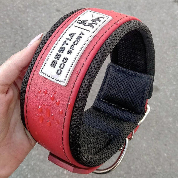 Weighted dog training collar. Large breeds. 5 lbs total. removable weights  - Bestia Collars