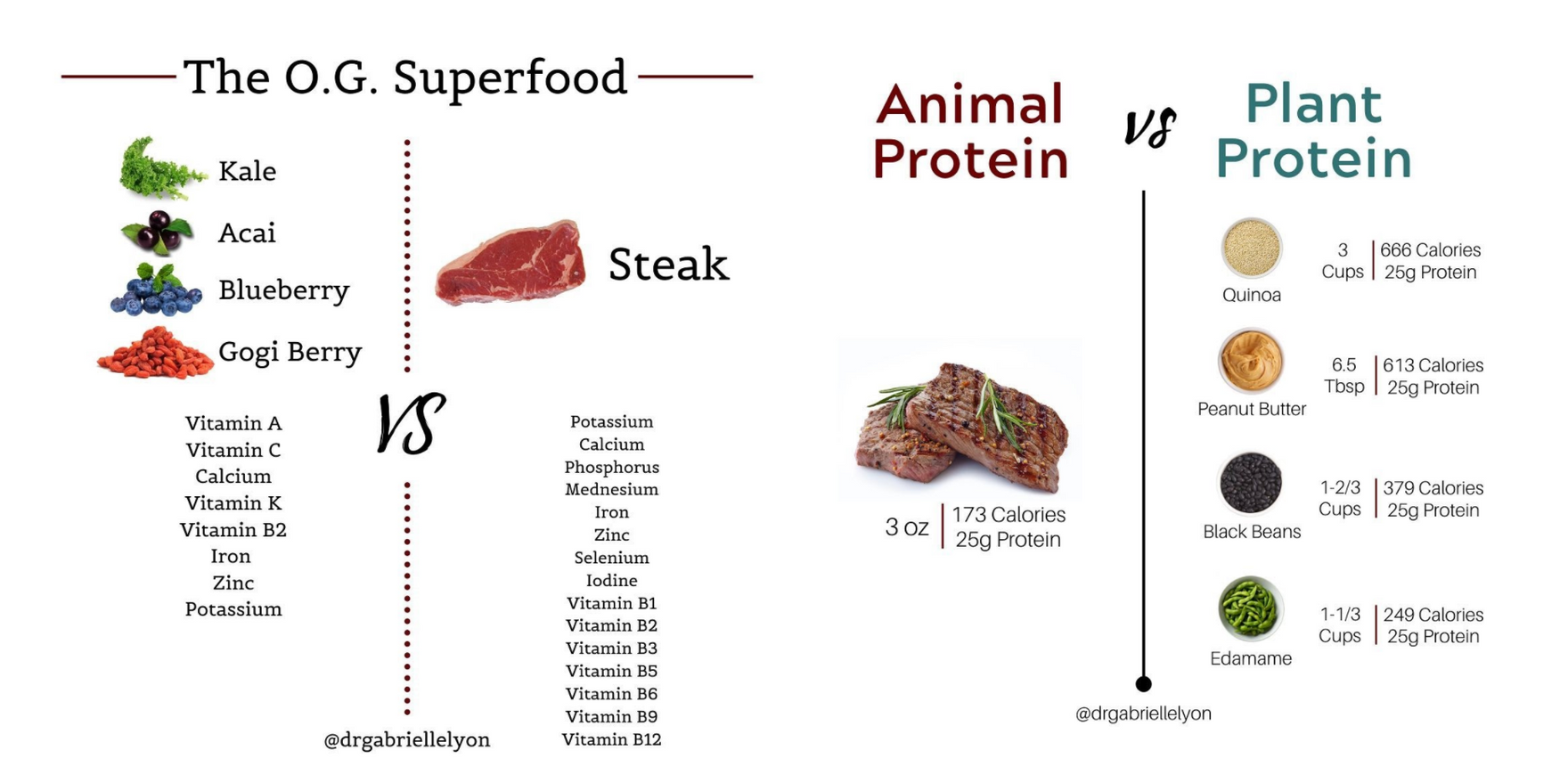 Animal vs. vegetable protein [science feelings] PART -