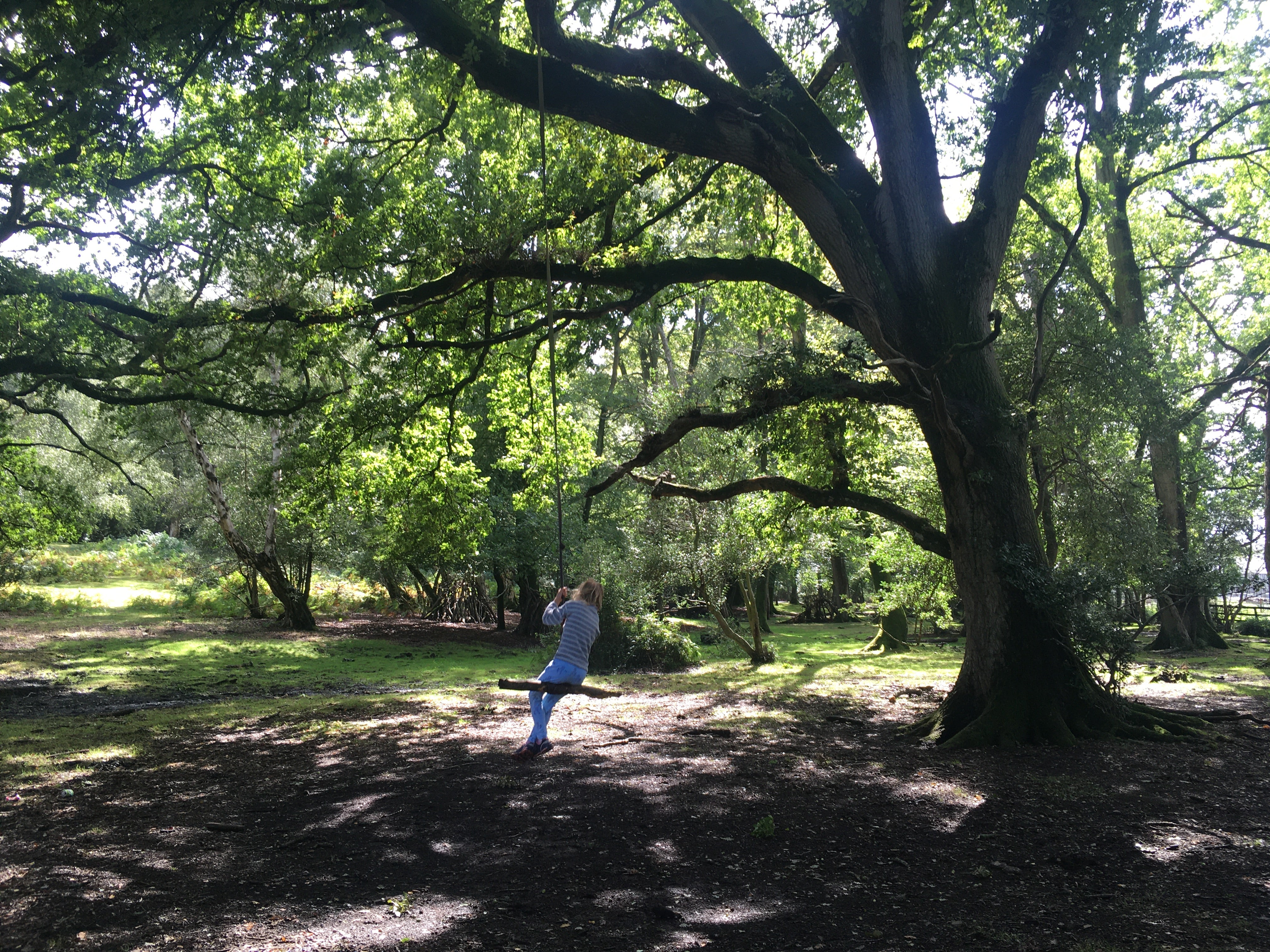 Green Hill Farm Holiday Village in The New Forest