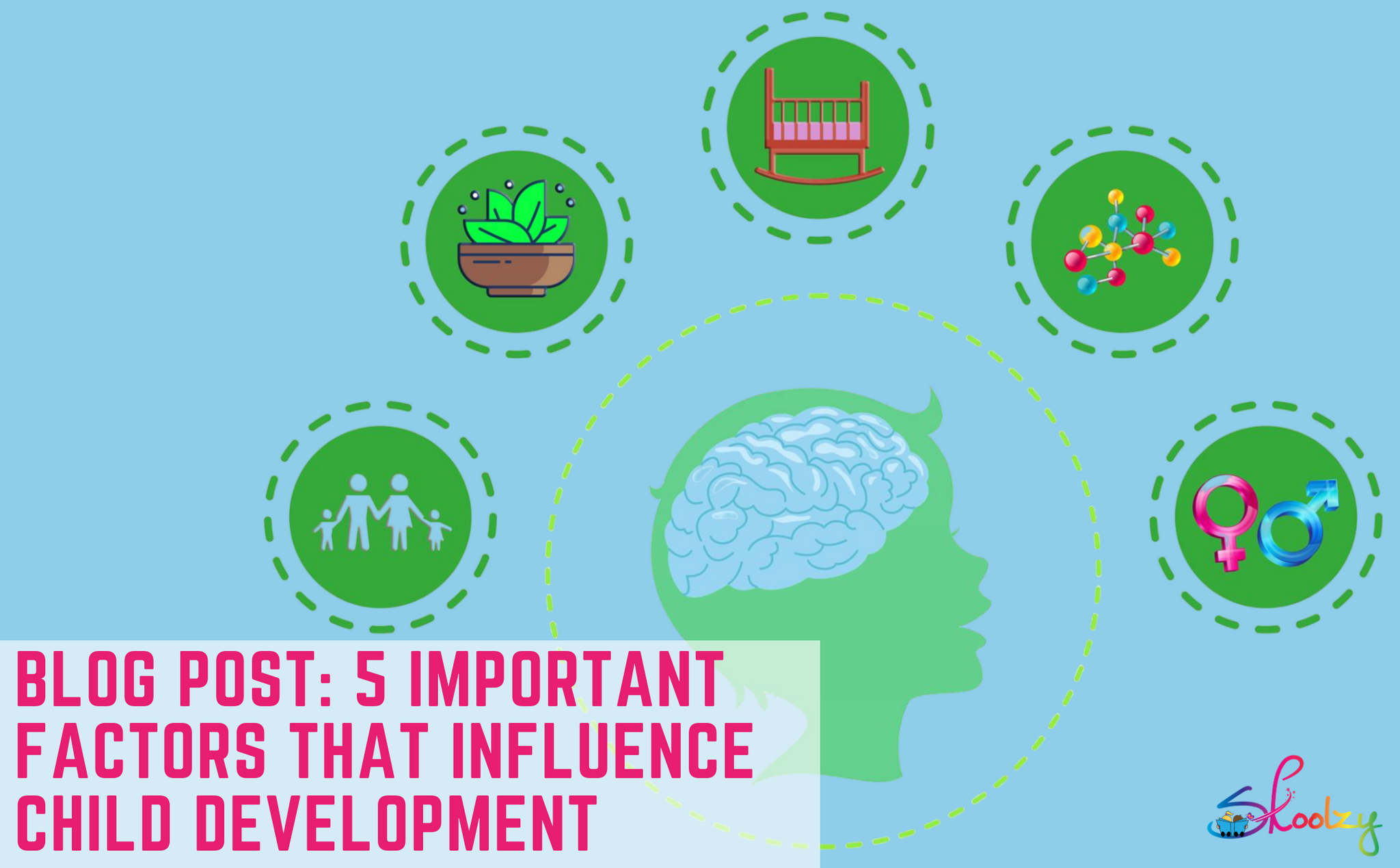 Environmental influences on the pace of brain development