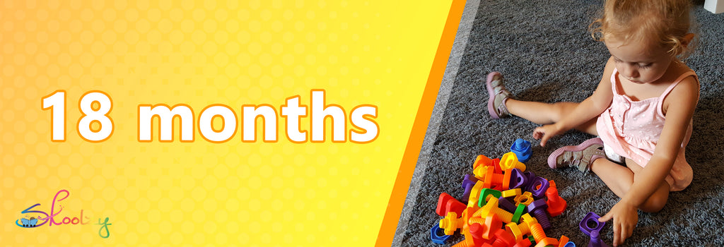 baby toys 18-24 months