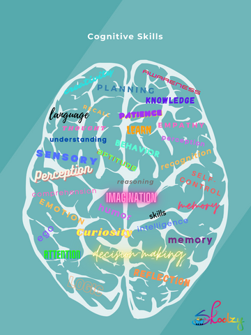 concept of cognitive development