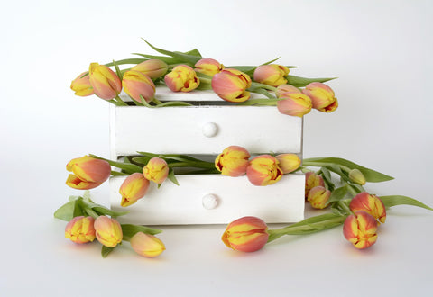 Tulip flowers lining and falling out of a drawer